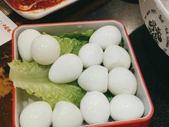 -大龙燚火锅(春熙店)
