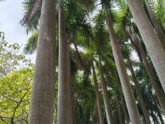 -竹子林(地铁站)