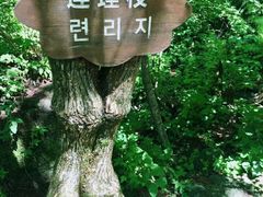 -望天鹅景区