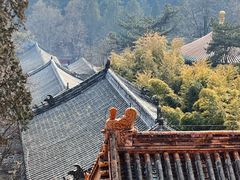 -潭柘寺景区