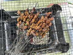 -杨婆婆烤肉(文昌阁店)