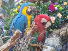 -西安电子科技大学-海棠餐厅