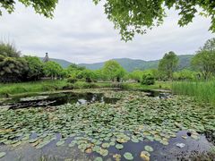 -龙寺生态园