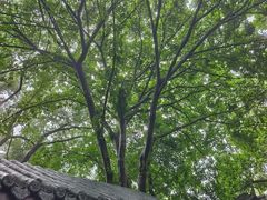 -成都武侯祠博物馆