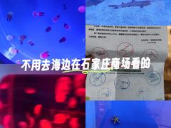 -萌宠奇缘(荣鼎店)