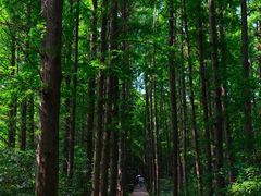 -同里国家湿地公园