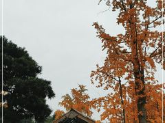 -成都杜甫草堂博物馆