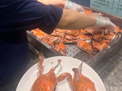 -禾斗海鲜自助(市南银座店)