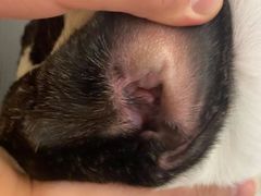 -comecome来吧宠物(奥克斯中心店)