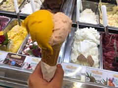 芒果冰淇淋-Gelateria Dondoli