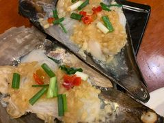 -生蚝园
