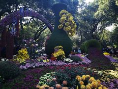 -杭州植物园