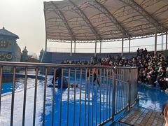 -华夏文旅海洋公园