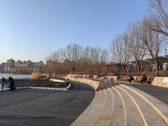 -马家湾湿地公园