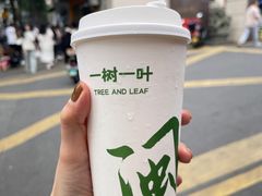 -一树一叶·福建茶档(石鼓路店)