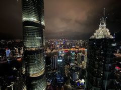 -上海柏悦酒店