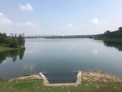 -松山湖南湖湾露营营地