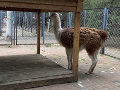 -长白岛森林公园