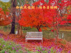 -花开海上生态园