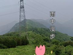 -大觉寺-停车场