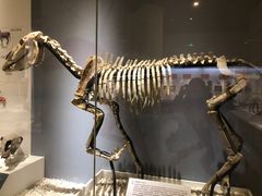 -国家自然博物馆