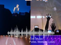 -SoFun Live