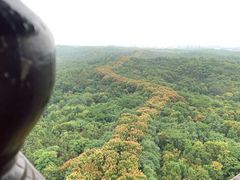 -宜兴龙背山森林公园