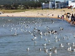 -那香海钻石沙滩浴场