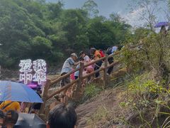 -广州白江湖森林公园