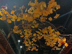 -小京华楼·京味斋(三元桥国展店)