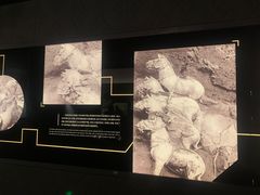 -秦始皇帝陵博物院-丽山园