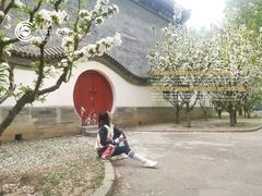 -朝阳公园体育中心