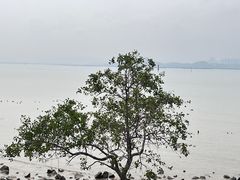 -深圳湾公园(南山区)