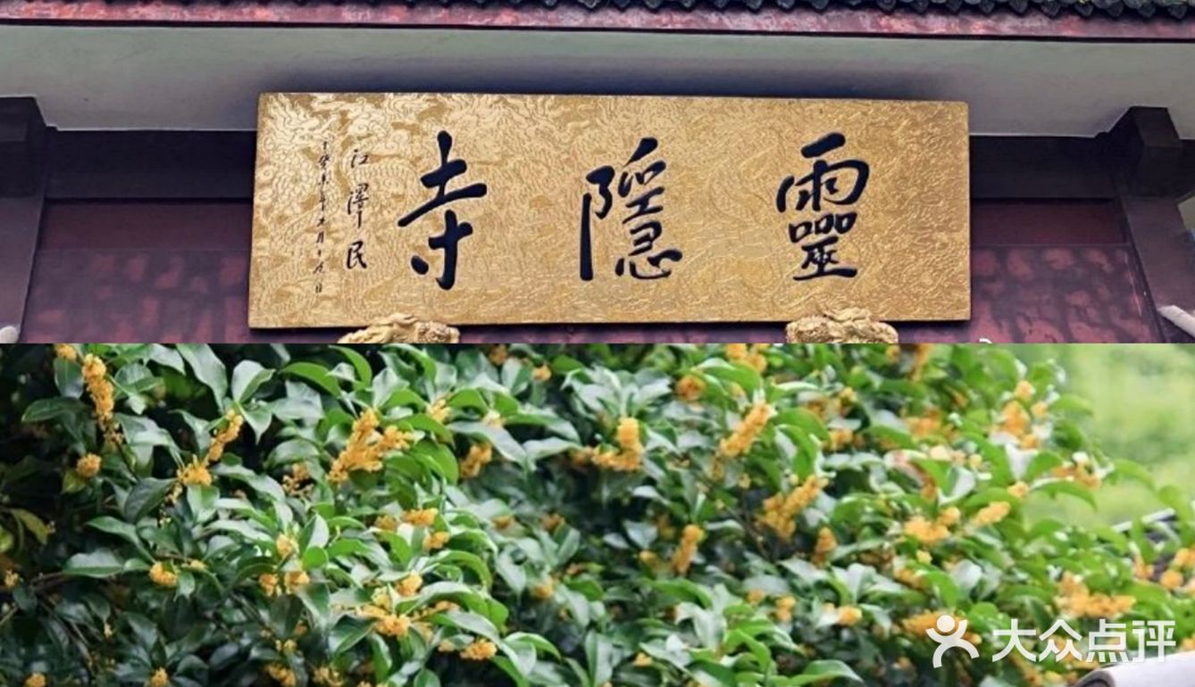 🔥杭州桂花开了，8个赏花圣地，错过后悔