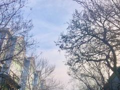 -青州古城