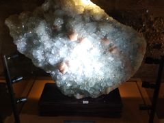 -陕西自然博物馆