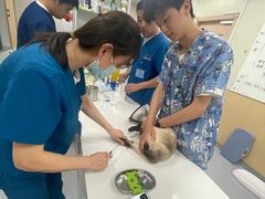 -康成宠物医院24H·CT·核磁共振