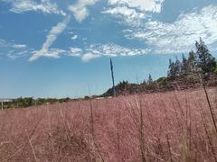 -嘉北郊野公园