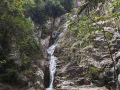 -海南霸王岭国家森林公园