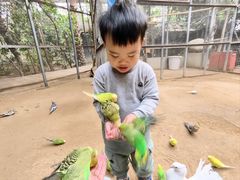 -呀路古热带植物园
