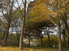 -玲珑塔公园
