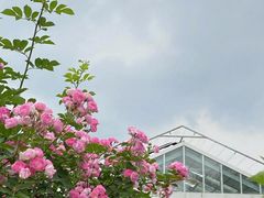 -国家植物园
