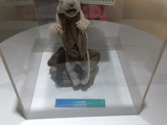 -生命奥秘博物馆