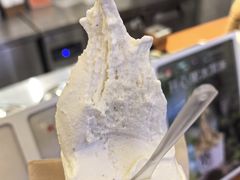 -野人先生Gelato(上海长宁龙之梦店)