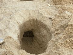 -大梅沙海滨公园