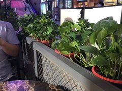-欧巴来了韩式料理