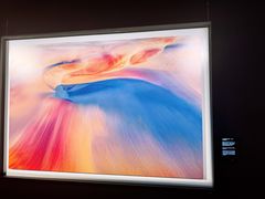 -罗红摄影艺术馆