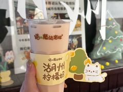 -猫的魔法密林(衣裳街店)