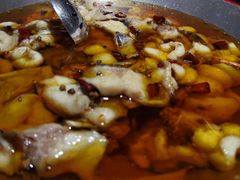 -雲蜀龙阁·金牌水煮鱼(方庄店)