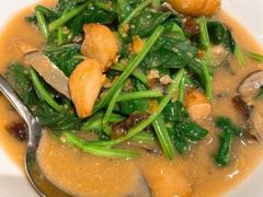 上汤时蔬-莆田餐厅PUTIEN(三里屯店)